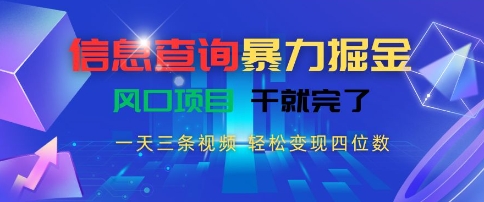 信息查询暴力掘金，一天三条视频，轻松变现四位数，风口项目干就完了【揭秘】-21资源库