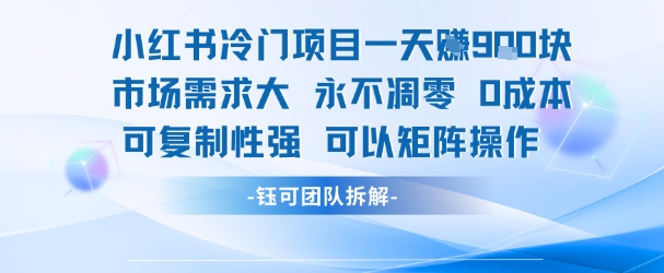 小红书冷门项目一天收益9张，市场需求大，0成本，可复制性强可以矩阵操作-21资源库