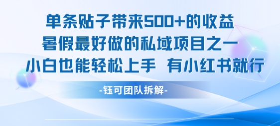 单条贴子带来5张的收益，暑假最好做的私域项目之一，小白也能轻松上手，有小红书就行-21资源库