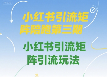 小红书引流矩阵陪跑第三期，小红书引流矩阵引流玩法-21资源库