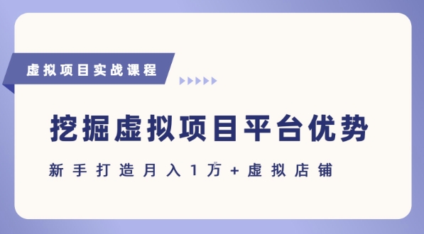 抓住虚拟项目各平台优势，新手轻松月入1W+(给出具体建议)-21资源库