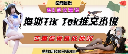 海外tiktok小说推文暴力项目，高停留率，高转化率，上手后一天搞顿饭钱不是问题-21资源库