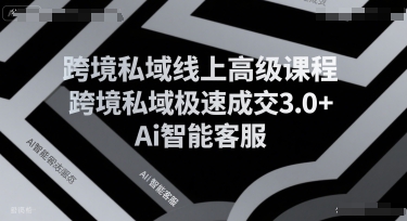 跨境私域线上高级课程，跨境私域极速成交3.0+Ai智能客服-21资源库