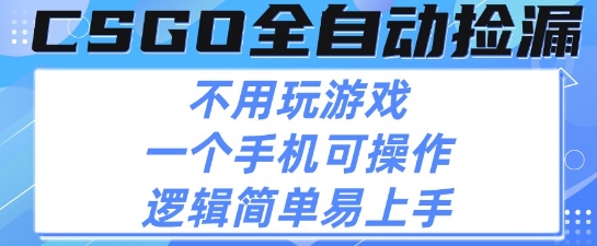 CSGO自动捡漏项目，最新独家玩法，不用挂G不用玩游戏，一个手机即可操作，新手小白轻松月入1W+【揭秘】-21资源库