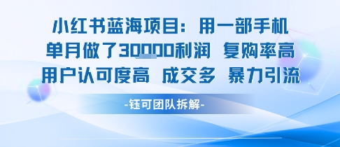小红书蓝海项目，一部手机单月做了3W利润，小白也能月入过1W用户认可度高成交多-21资源库