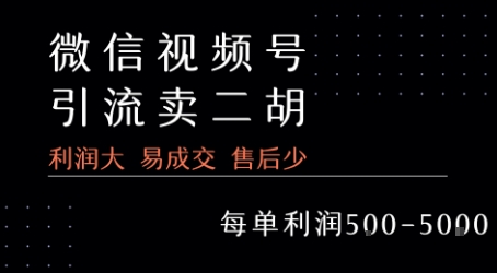视频号卖二胡教程，利润大 易成交 售后少，一单利润5张+-21资源库