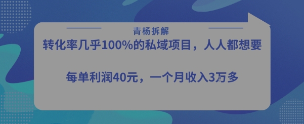 转化率最高的私域项目，每单利润40-50米，月入过1w-21资源库