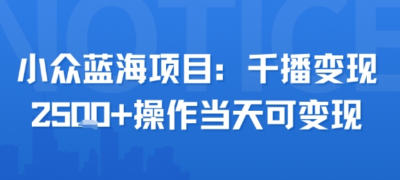 小众蓝海项目，千播变现2.5k+操作当天可变现-21资源库