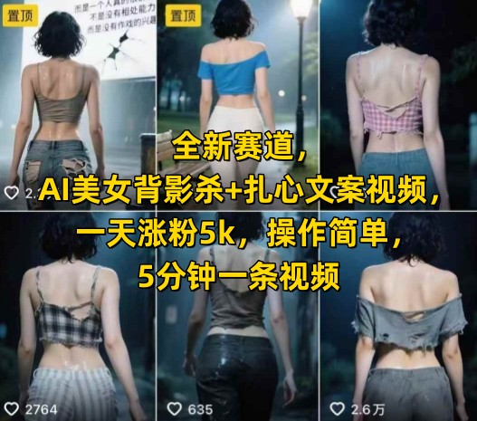 全新赛道，AI美女背影杀+扎心文案视频，一天涨粉5k，操作简单，5分钟一条视频-21资源库