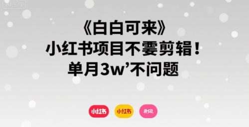 小白可来 小红书项目不需要剪辑 单月3w不是问题-21资源库
