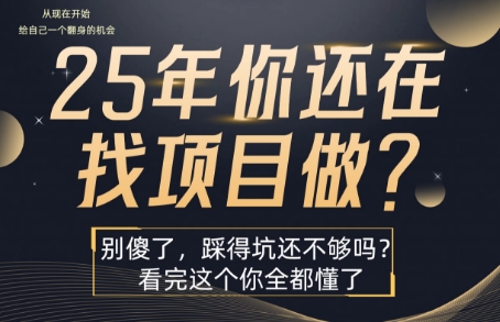 25年，你还在疯狂的找项目吗？别傻了，看完这个你都懂了【揭秘】-21资源库