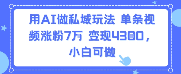 用AI做私域玩法，单条视频涨粉7W变现4.3k，小白可做-21资源库