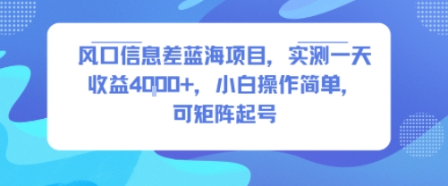 风口信息差蓝海项目，实测一天收益4k+，小白操作简单，可矩阵起号-21资源库