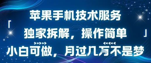 苹果手机技术服务，独家拆解，操作简单，小白可做，月过1W不是梦-21资源库