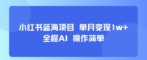 小红书蓝海项目 单月变现1w+ 全程AI 操作简单-21资源库