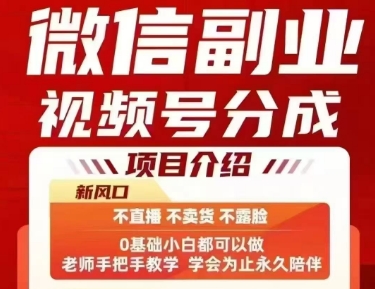 微信副业视频号分成，不直播 不卖货 不露脸，三五分钟即可完成一条作，每日收益几十、几张不等-21资源库