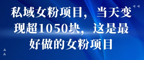 私域女粉项目，当天变现超1k，这是最好做的女粉项目，可放大操作-21资源库