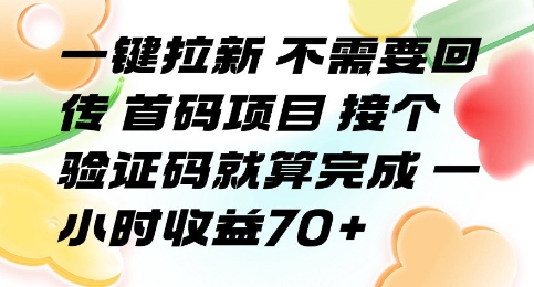 一键拉新 不需要回传 首码项目 接个验证码就算完成 一小时收益70+【揭秘】-21资源库