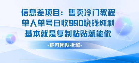信息差项目：售卖冷门教程单人单号日收9张纯利基本就是复制粘贴就能做-21资源库