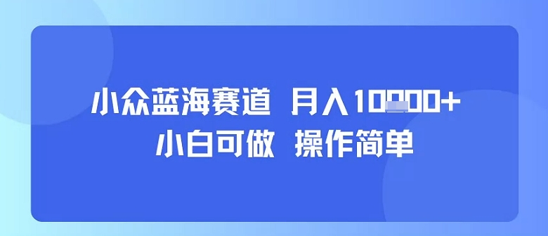 小众蓝海赛道，小白可做，操作简单，每天30分钟，月入1W+-21资源库