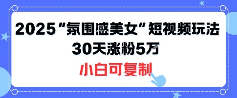不露脸也能火！2025“氛围感美女”短视频玩法，30天涨粉5W小白可复制-21资源库