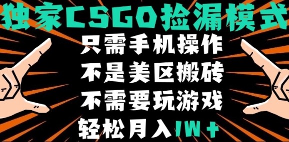 CSGO自动捡漏项目，最新独家玩法，不是美区搬砖，不需要了解和玩游戏，新手小白轻松月入1W+【揭秘】-21资源库