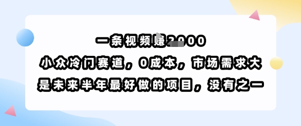 一条视频挣1k，小众冷门赛道，0成本，市场需求大，是未来半年最好做的项目，没有之一-21资源库