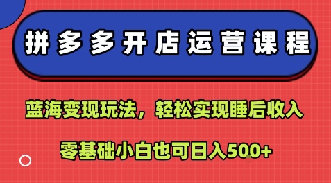 拼多多开店运营课程：蓝海变现玩法，轻松实现睡后收入，零基础小白也可日入5张-21资源库