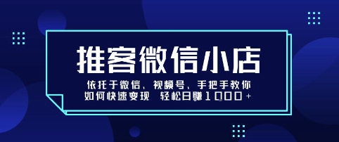 推客微信小店依托于微信、视频号，手把手教你如何快速变现 轻松日入1k+【揭秘】-21资源库