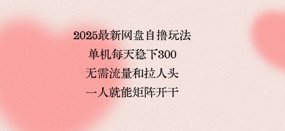 2025最新网盘自撸玩法，单机每天稳下3张，无需流量和拉人头，一个人就可轻松矩阵，全网独一份【揭秘】-21资源库