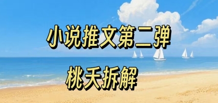 小说推文项目操作全流程第二弹，0粉就能做，门槛低非常适合新手-21资源库
