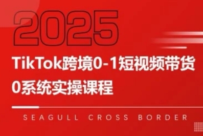 TikTok跨境0-1短视频带货，系统拆解TikTok跨境带货全链路，实现跨境可持续盈利-21资源库