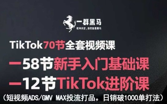 TikTok全套视频课，新手入门+进阶课，短视频ADS-GMV MAX投流打品，日销破1000单打法-21资源库