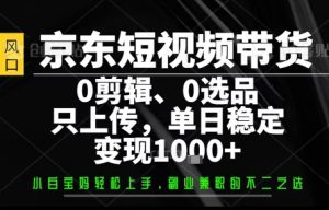你出账号，我来运营，保底日入1k+，开启躺賺模式【揭秘】-21资源库