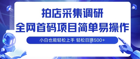 拍店采集调研，全网首码项目，简单易操作， 小白也能轻松上手，多账号操作，轻松日入5张【揭秘】-21资源库
