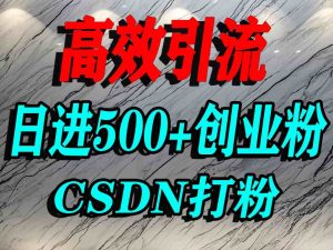 怎么打创业粉?CSDN又一个你不知道的打粉引流神秘平台,单人日引500+精准流量-21资源库