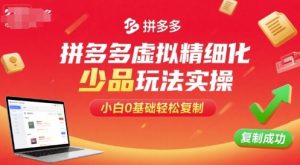 拼多多虚拟精细化少品玩法实操，小白0基础轻松复制-21资源库