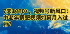 7天收益1k+，视频号新风口：中老年情感视频如何月入过W?-21资源库