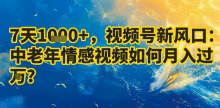 7天收益1k+，视频号新风口：中老年情感视频如何月入过W?-21资源库