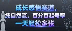 成长感悟赛道，纯自然流，百分百起号率 一天轻松多张-21资源库