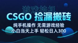 8月最新游戏搬砖，CSGO纯挂G，不需要玩游戏，实现真挂G，月入1W+【揭秘】-21资源库
