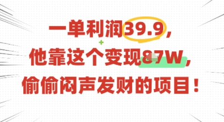 一单利润39.9，有人靠这个变现几十个，偷偷闷声发财的项目-21资源库