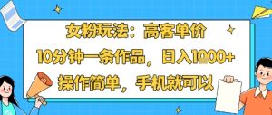 女粉玩法：高客单价，10分钟一条作品，日入1k+操作简单，手机就可以-21资源库