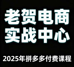 老贺电商2025年拼多多付费课程，用通俗易懂的方法告诉你多多怎么玩-21资源库