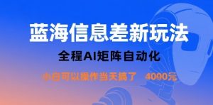 蓝海信息差新玩法，全程AI矩阵自动化小白可以操作当天搞了1k+-21资源库