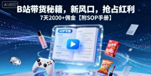 B站带货秘籍,新风口,抢占红利,7天2k+佣金【附SOP手册】-21资源库
