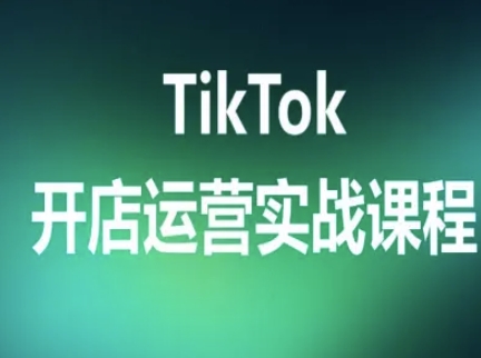 TikTok开店运营实战课程，TK跨境电商实操全流程-21资源库