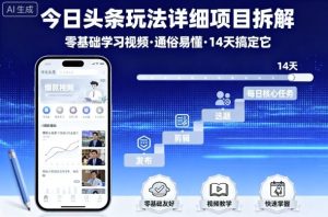 今日头条玩法详细项目拆解，零基础学习视频 通俗易懂 14天搞定它-21资源库