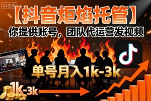 【抖音炬焰托管】你提供账号，团队代运营发视频，单号月入1k+【揭秘】-21资源库