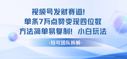 视频号发财赛道单条7W点赞变现四位数方法简单易复制小白玩法-21资源库